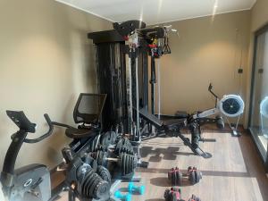 a gym with several exercise equipment in a room at VacationNorway in Froland Verk