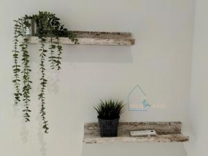 uma prateleira com uma planta na parede em Castle View em Santa Pola