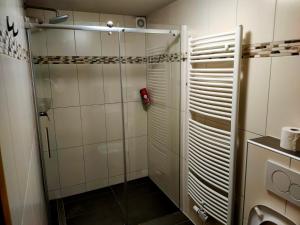 um chuveiro com uma porta de vidro na casa de banho em Ferienwohnung Enzblick em Vaihingen an der Enz