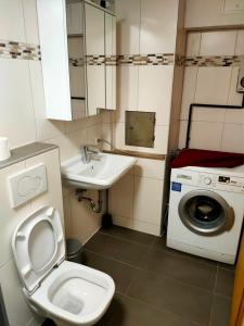 uma casa de banho com um WC, um lavatório e uma máquina de lavar roupa em Ferienwohnung Enzblick em Vaihingen an der Enz