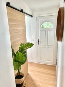 une porte avec une plante en pot dans un couloir dans l'établissement Enghien T2 Coeur de ville 12 mn de Paris, à Enghien-les-Bains