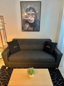 a living room with a couch and a picture of a monkey at Enghien T2 Coeur de ville 12 mn de Paris in Enghien-les-Bains