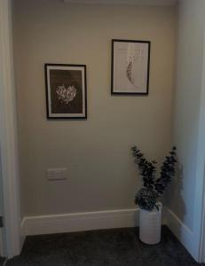 two framed pictures on a wall with a potted plant at Oak House - 3bed Townhouse with free parking by ShortStays4U in King's Lynn