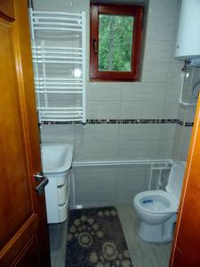 a small bathroom with a toilet and a window at Weekend house Grahovača in Rožaje