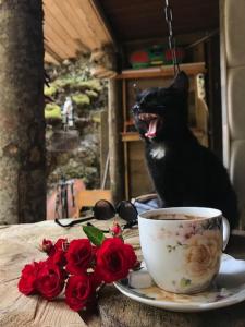 eine schwarze Katze auf einem Tisch mit einer Tasse und Rosen in der Unterkunft Weekend house Grahovača in Rožaje