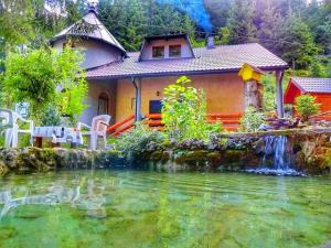 a house with a pond in front of it at Weekend house Grahovača in Rožaje