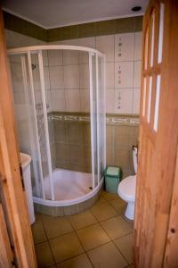 ein Bad mit einer Dusche und einem WC in der Unterkunft Gospodarstwo Agroturystyczne Kazimierz Januszewski in Dziemiany