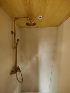a shower in a bathroom with a wooden ceiling at Moose home Tiny house AMBUR in Saint-Jacques-dʼAmbur +13 photos