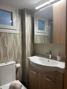 een badkamer met een wastafel, een toilet en een spiegel bij Backyard houses in Toroni
