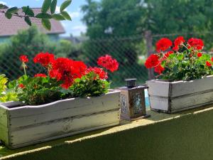two wooden boxes with red flowers on a fence at Apartmány ZELENÝ DOM in Podhájska