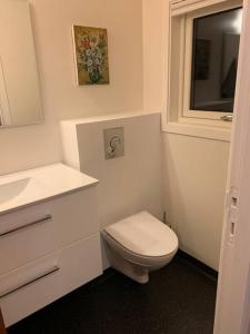 a bathroom with a toilet and a sink and a mirror at Unique and isolated cottage with stunning views in Leynar +21 photos