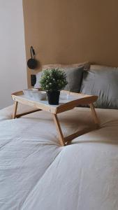 - un plateau en bois avec une plante au-dessus d'un lit dans l'établissement Ô république, à Marseille