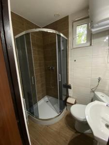 een badkamer met een douche, een toilet en een wastafel bij Gospodarstwo Agroturystyczne Kazimierz Januszewski in Dziemiany