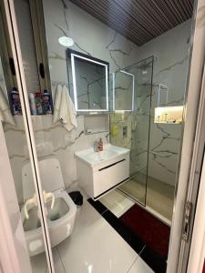 een badkamer met een toilet, een wastafel en een douche bij Studio near Tirana Airport 2- SELF Check-in Free Parking in Valjiosi