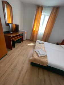 um quarto com uma cama, uma secretária e uma televisão em Hotel Oltenia em Eforie Sud