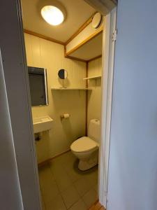 uma pequena casa de banho com WC e lavatório em Stylish Vintage Home in the Heart of the City em Trondheim