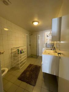 a bathroom with a sink and a shower and a toilet at Stylish Vintage Home in the Heart of the City in Trondheim