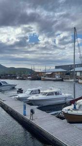 a group of boats docked at a dock in the water at Stylish Vintage Home in the Heart of the City in Trondheim