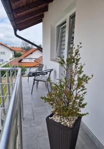 uma varanda com um vaso de plantas ao lado de uma casa em Apartmani GO Bugojno em Bugojno