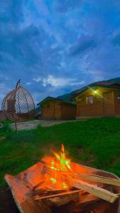 a fire pit in a field with a house in the background at Dedushi guesthouse &wod cabin-camping place in Gusinje
