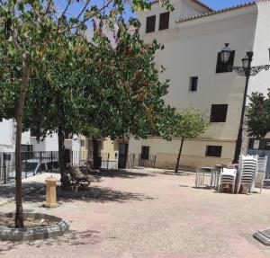a courtyard with chairs and trees in front of a building at Casa Mejías, excelente localización, cerca de los principales puntos turísticos de Antequera in Antequera