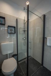 e bagno con servizi igienici e doccia in vetro. di Captain’s Apartment a Zara (Zadar)