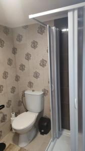 uma casa de banho com um WC e um chuveiro em Quarto Amélia em Fogueira