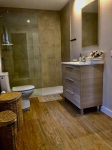 マスパロマスにあるSanta Clara Bungalowsのバスルーム(洗面台、トイレ、鏡付)