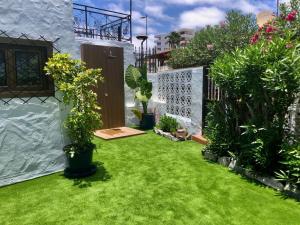 Zahrada ubytování Santa Clara Bungalows