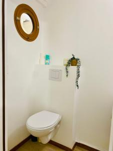 La salle de bains est pourvue de toilettes blanches et d'un miroir. dans l'établissement FABULEUX STUDIO Centre ville Fort De France Martinique CAPITALE, à Fort-de-France