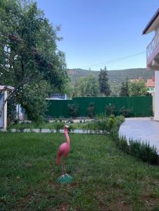 un pájaro rosa parado en la hierba en un patio en Villa ain soltan en Imouzzer du Kandar