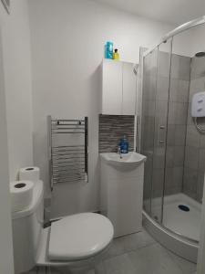a white bathroom with a toilet and a shower at Stylish studio flat with Parking in Enfield