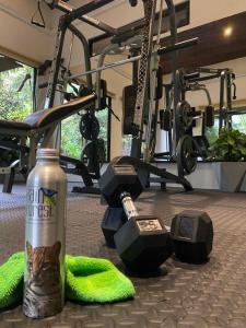 a cat sitting next to a water bottle in a gym at Golden Pineapple Villas-Adults Only in Uvita