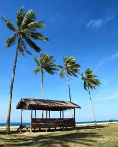 dos palmeras y una cabaña en la playa en Rosma homestay, en Kampong Ru Sepuloh
