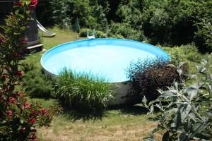 een zwembad in een tuin met planten bij Ferienwohnungen Birkenhof in Reit im Winkl