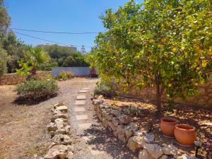 a garden with an orange tree and a stone wall at Elysian Rose Residence in Rethymno