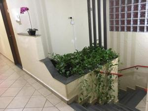 Φωτογραφία από το άλμπουμ του HOTEL CENTER Ribeirão σε Ριμπεράο Πρέτο