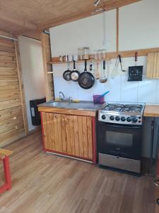 Kuchyň nebo kuchyňský kout v ubytování Isla Yu Patagonia 2