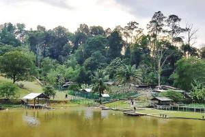 vistas a un lago con árboles y casas en Radia Residence Bukit Jelutong, Shah Alam en Shah Alam