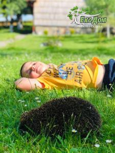 un niño pequeño tirado en la hierba en la hierba en Еко Дім з СОЛОМИ, en Solochyn