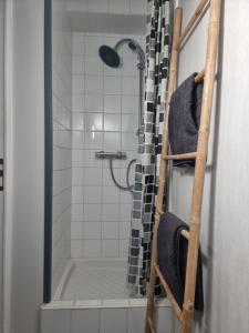 uma casa de banho com chuveiro e cortina de chuveiro em Quai 1 Voie A 
