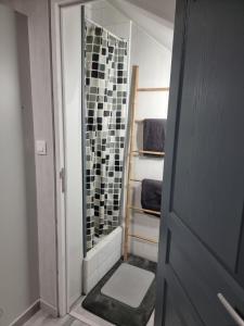 uma casa de banho com uma cabina de duche ao nível do chão ao lado de uma porta em Quai 1 Voie A 