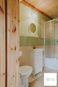 Słoneczne Ranczo - Domki في كرينيتا مورسكا: حمام مع مرحاض ودش ومغسلة