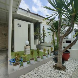 a row of potted plants in a courtyard at Kayana Regency F7 in Batu