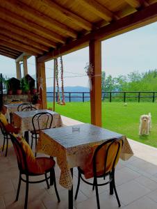 eine Terrasse mit Tischen und Stühlen und einem Hund im Gras in der Unterkunft Terra Del Bosco Agriturismo in Sesta Godano