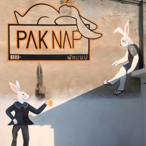 Gäste, die in der Unterkunft Paknap Hostel übernachten