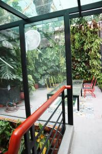 Zahrada ubytování AMANGO HOSTEL