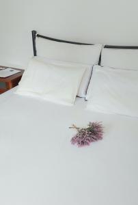 una pila de almohadas blancas y una planta en una cama en FBM Anagenessis - Ευ Ζην en Edessa