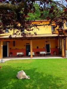 Gallery image of Terra Del Bosco Agriturismo in Sesta Godano