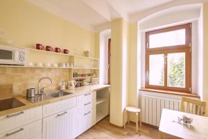 Kuchyň nebo kuchyňský kout v ubytování Wellness Penzion U Muzea + 37 fotografií
